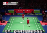 开云官方app入口-中国羽毛球队绝杀法国羽毛球队，李宗伟打破历史纪录的简单介绍