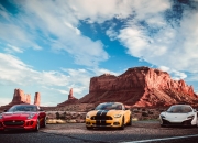 开云体育在线-丹佛之心，约基奇与抢七之夜的永恒回响