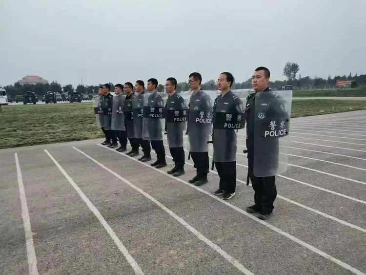 关于新西兰球队训练营拉练多国，积极备战赛事的信息