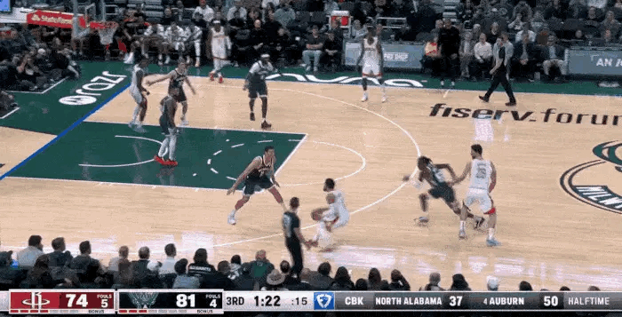 包含尼克斯完胜雄鹿，范弗利特点燃赛场的词条