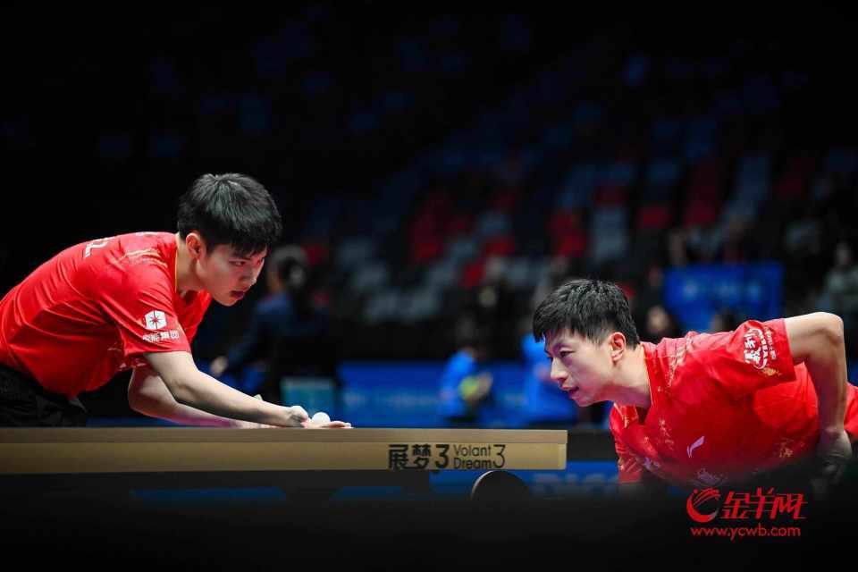 波兰队险胜日本队，马龙状态火热