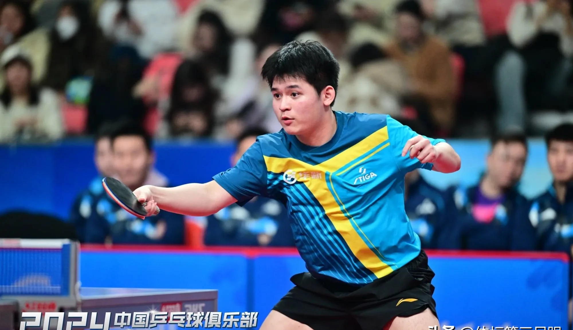 关于法国乒乓球队强势日本乒乓球队，奥恰洛夫关键制胜的信息