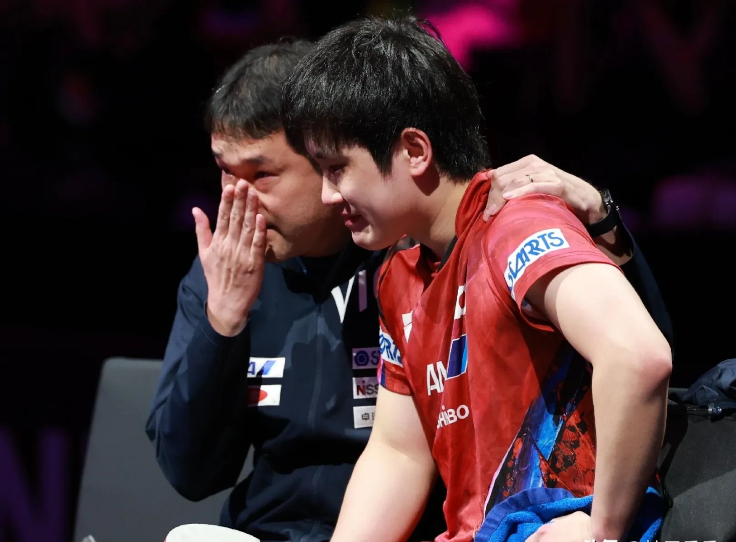 瑞典队翻盘德国队，张本智和状态火热的简单介绍