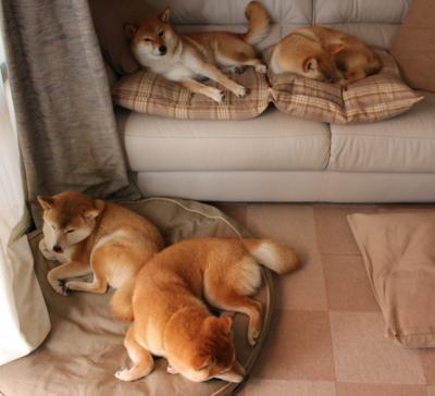 伦纳德节奏，当欧冠淘汰赛的血液遇上篮球基因的绝对掌控