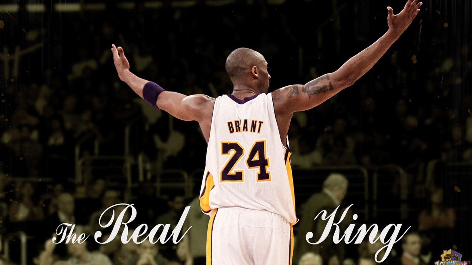 赛道上的红与黑,法拉利惊天翻盘,周冠宇惊艳四座